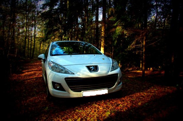 High Quality Tuning Files Peugeot 207 1.6 HDi 92hp
