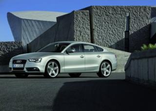Yüksek kaliteli ayarlama fil Audi A5 3.0 TFSI 333hp