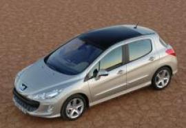 Yüksek kaliteli ayarlama fil Peugeot 308 1.6 THP 150hp