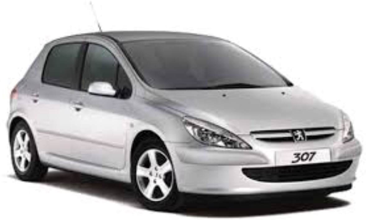 High Quality Tuning Files Peugeot 307 2.0 HDi 150hp