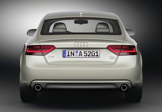 Filing tuning di alta qualità Audi A5 2.0 TDI CR 136hp